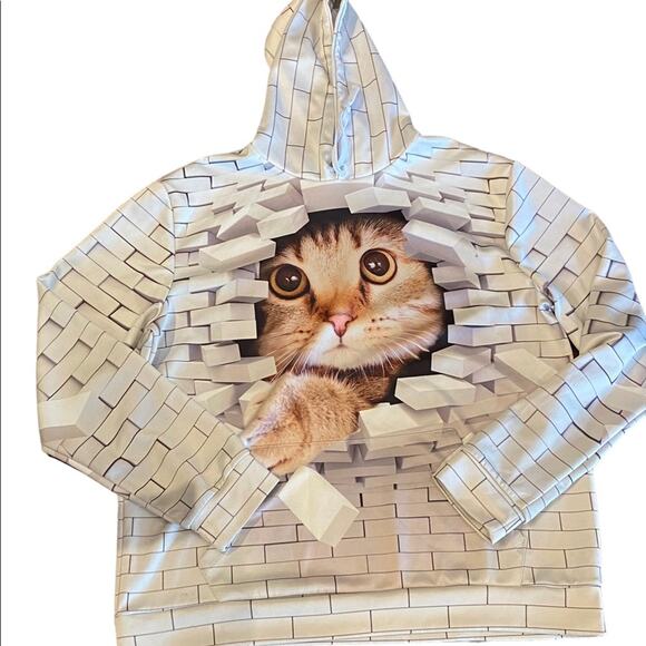 Cat And the Brick Wall Hoodie XXL No Brand - Picture 1 of 2